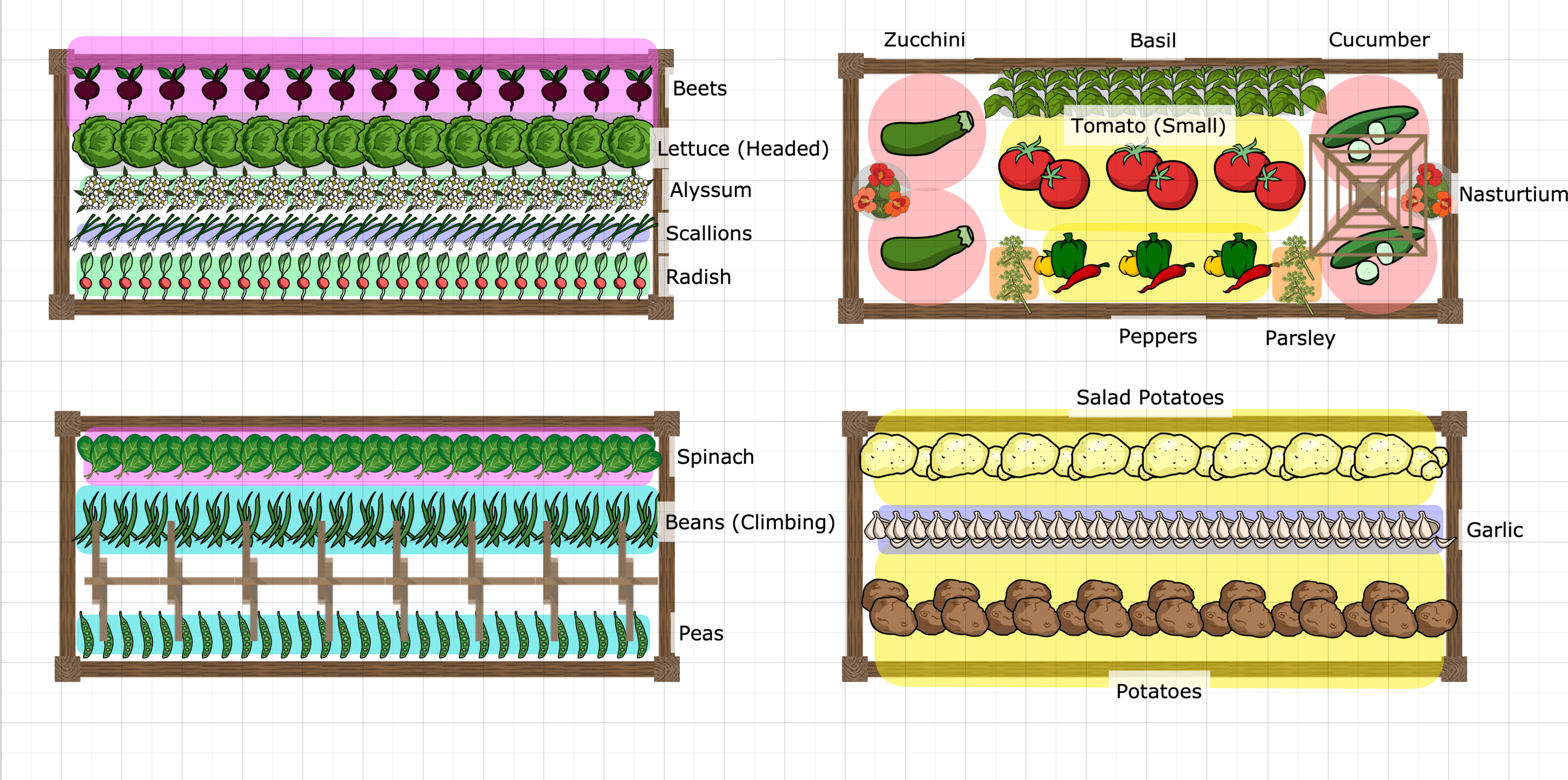 garden1
