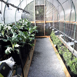 right-image-4