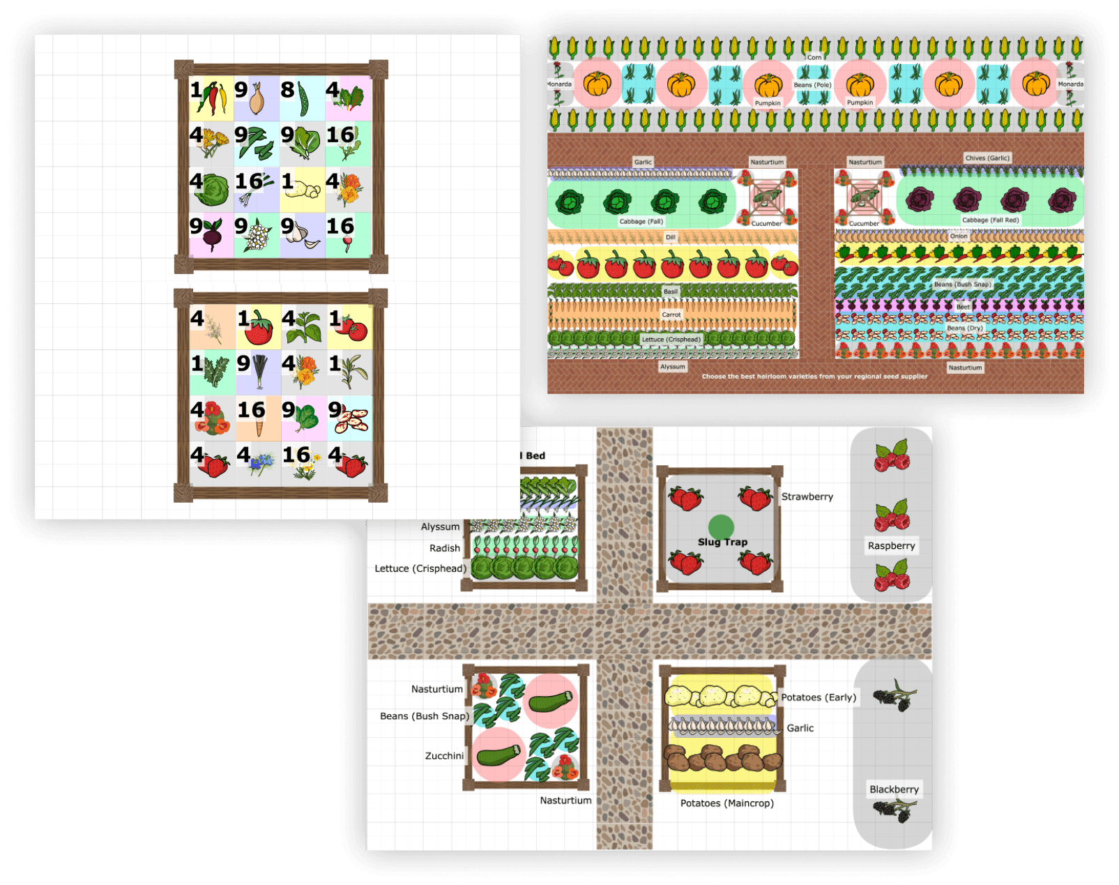 garden6