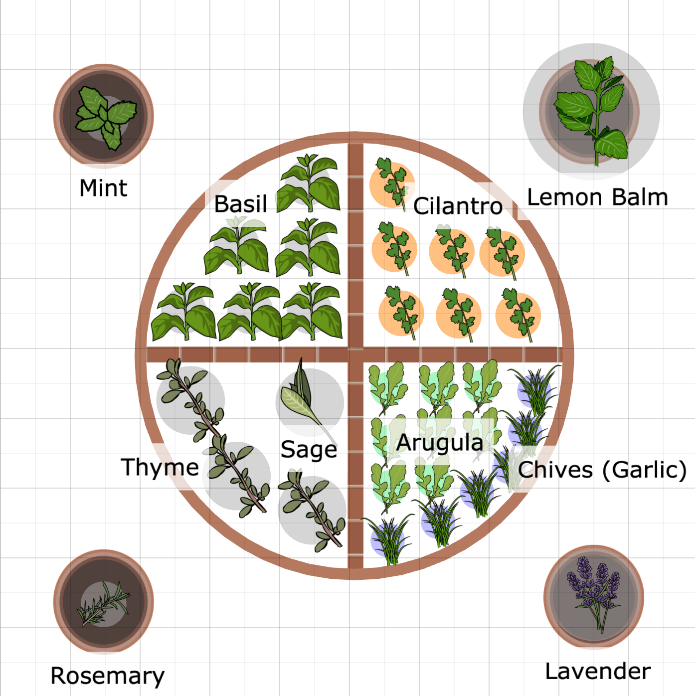 garden5