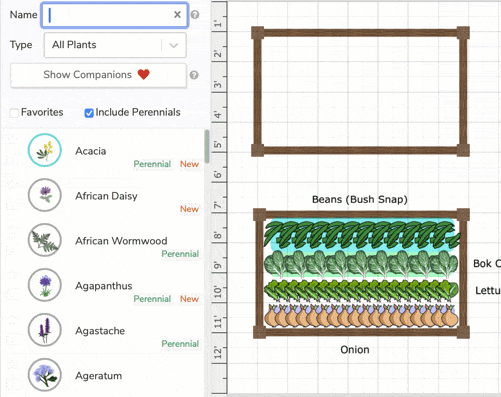 plant-spacing2
