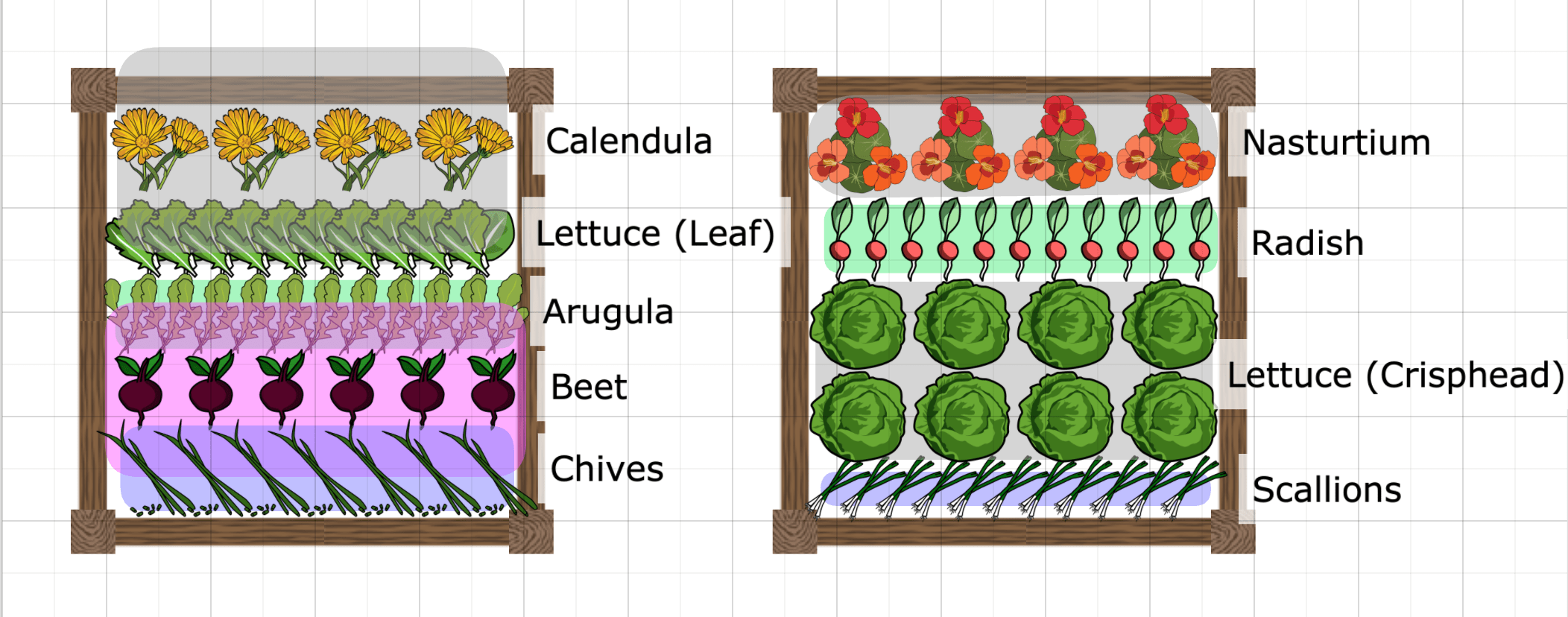 garden3